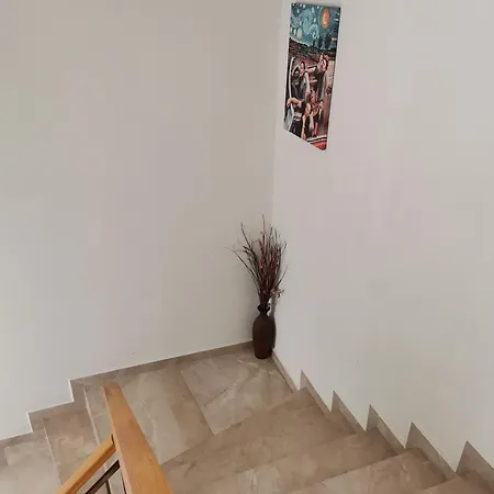 Stefi Guest house 3*